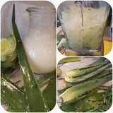 Aloe Vera Soap - Organic Aloe - Fresco Soaps n' Stuff